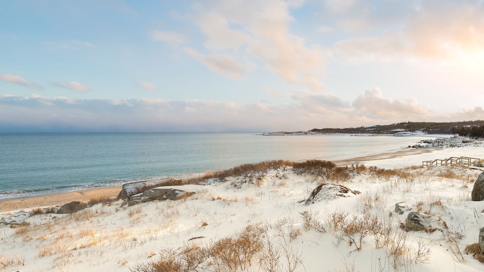 A snowy beach with a wooden walkway, a rocky shoreline, and a distant forest.