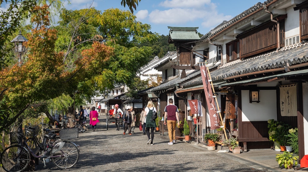 Bikan Historical Area featuring street scenes as well as a couple