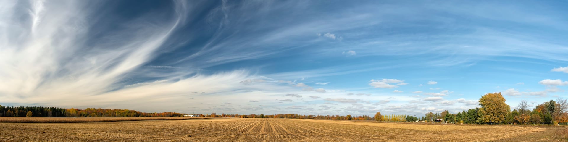 A vast open field with a dramatic sky featuring dark clouds and wispy formations.