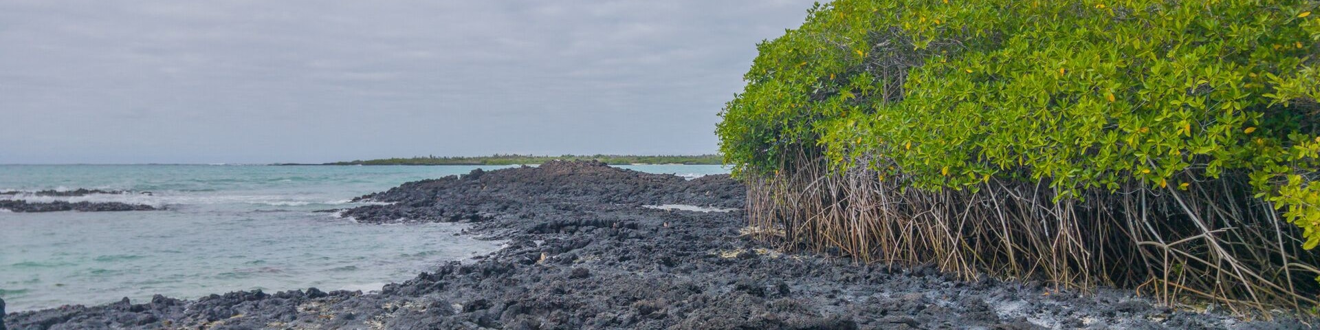 Hermosa playa, ubicada a 45min de Puerto Ayora en la isla Santa Cruz, Galápagos. Aquí se pueden observar flamingos, y disfrutar de zona de camping y alquiler de kayak.