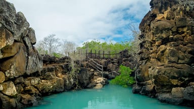 A rocky gorge with turquoise water and a wooden bridge.