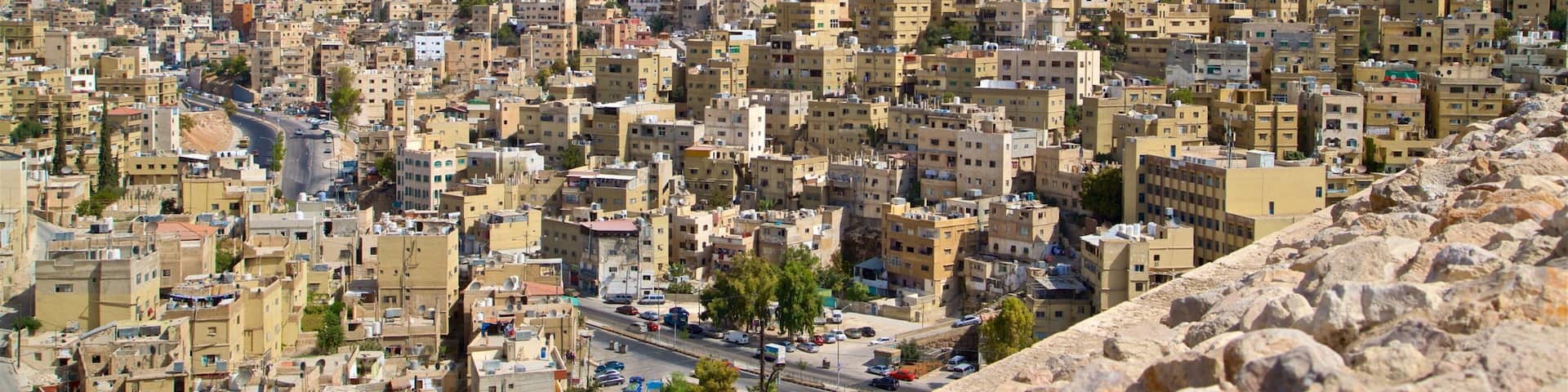Amman Citadel which includes a city and landscape views