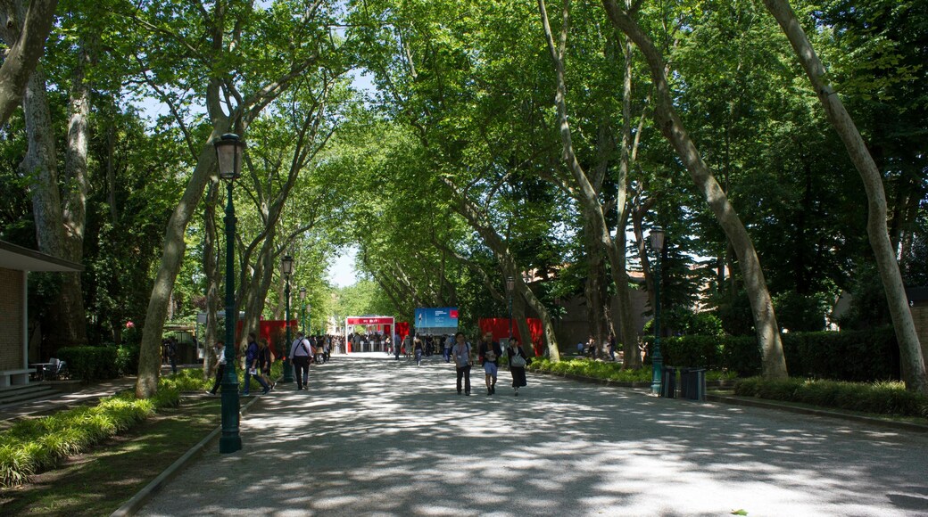 Giardini della Biennale