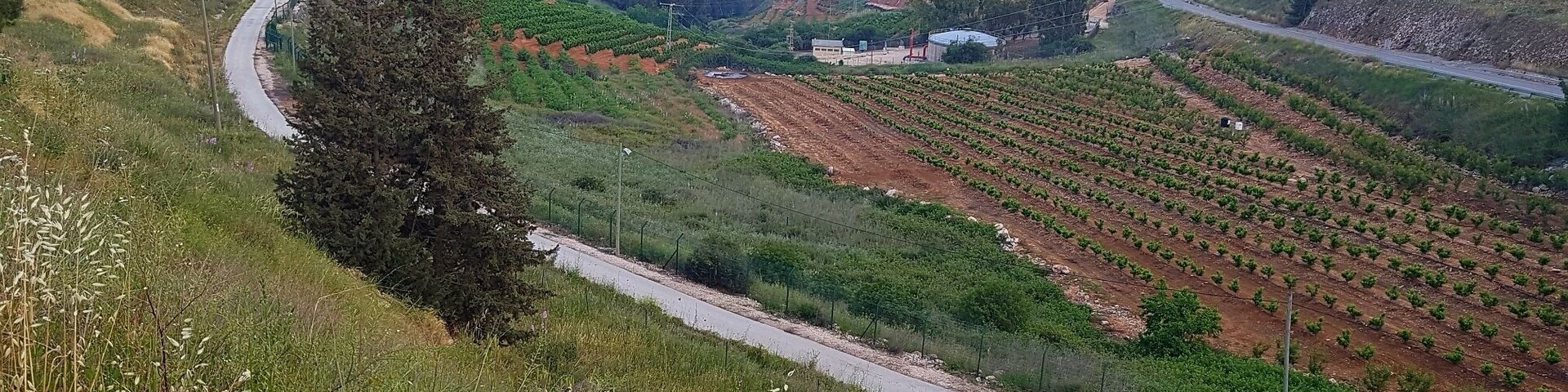 Turn left at Hatachana and walk downhill :)