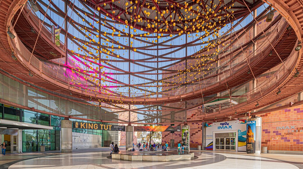 Exposition Park showing interior views