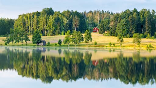 Dalsland which includes forest scenes, a lake or waterhole and farmland
