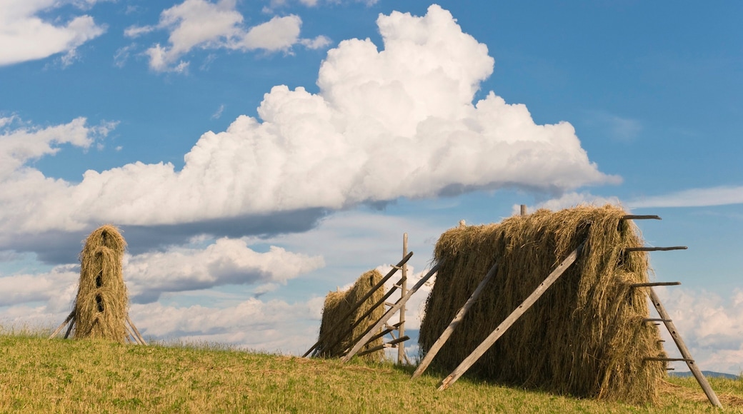 Härjedalen Municipality which includes farmland