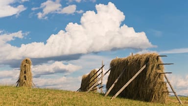 HĂ€rjedalen Municipality which includes farmland