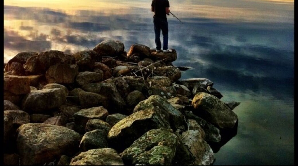 Lygnern is a beautiful lake in Halland, surrounded by forests, beautiful fields and meadows. At its end rises FjÀrÄs, from there you can see out over the lake and in the west you can spot the sea. The lake is 20 km long and about 2.5 km wide and at its deepest point measures 50 meters. Perfect for kayaking and fishing. It is known for its good fishing for pike and unique trout. It has been referred to as Sweden's purest water. Great for a day trip in beautiful nature!