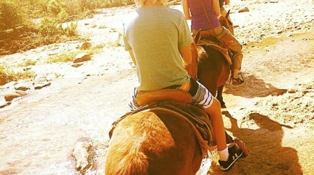 From Boco de Tomatlan we caught a water taxi to Quimixto where we then went on horses up to the waterfalls. Gorgeous!
#green #mexico