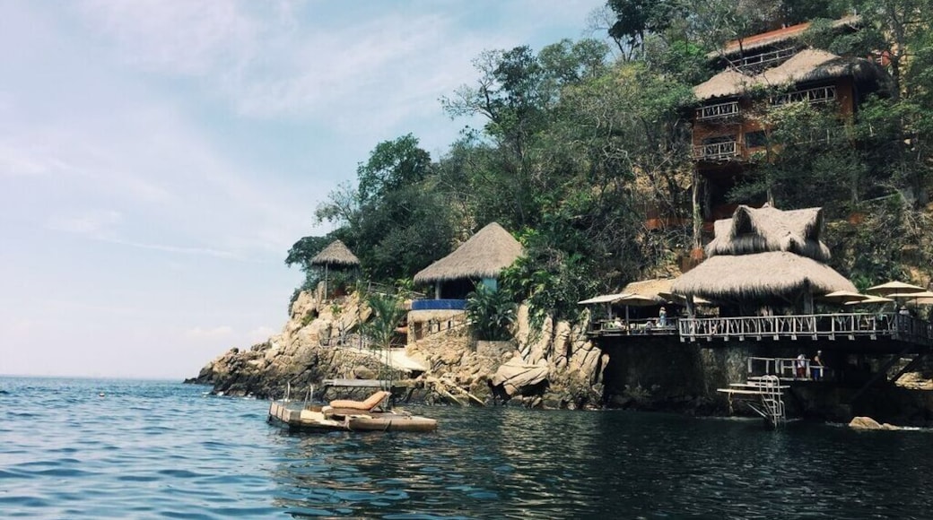 Water taxi to dinner..