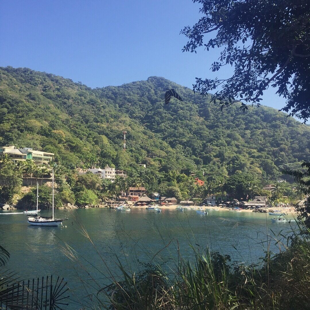 The last stop on the bus from Old town in Puerto Vallarta. It's either water taxis to Yelepa or my preferred method, hiking the coast. #beachtown #mexico