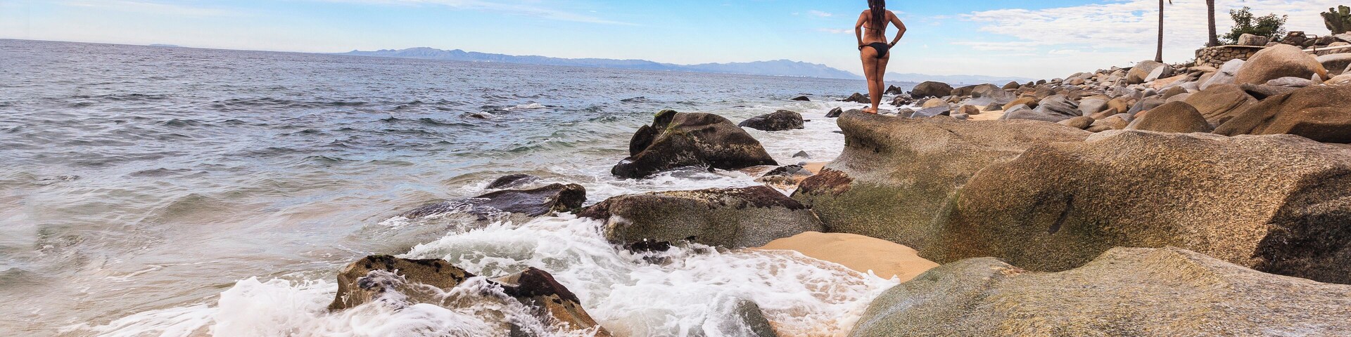 A beach with large rocks, waves, and a palm tree.