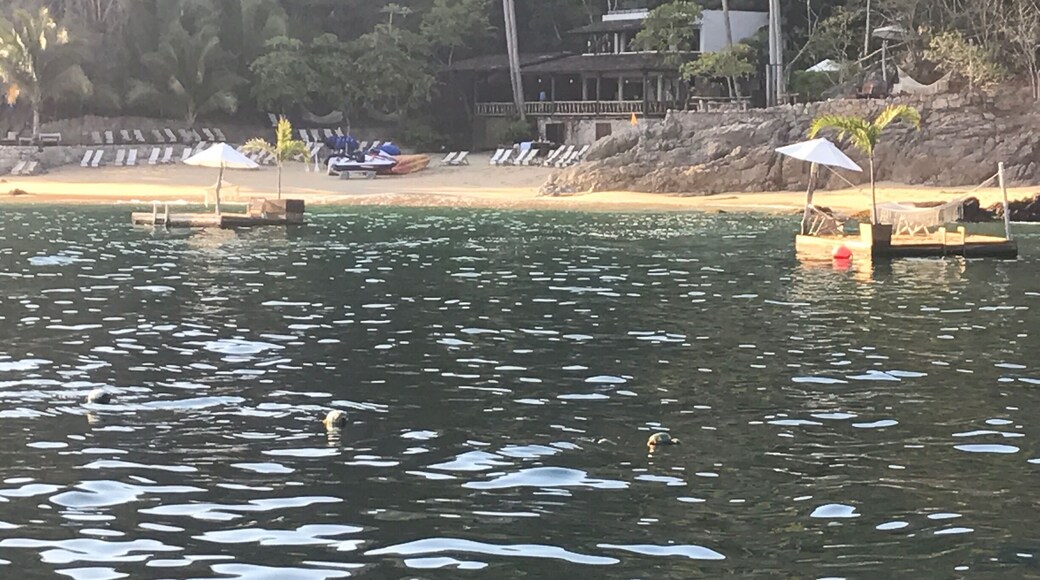 Amazing place.So much to do!Family said it was the best day ever!