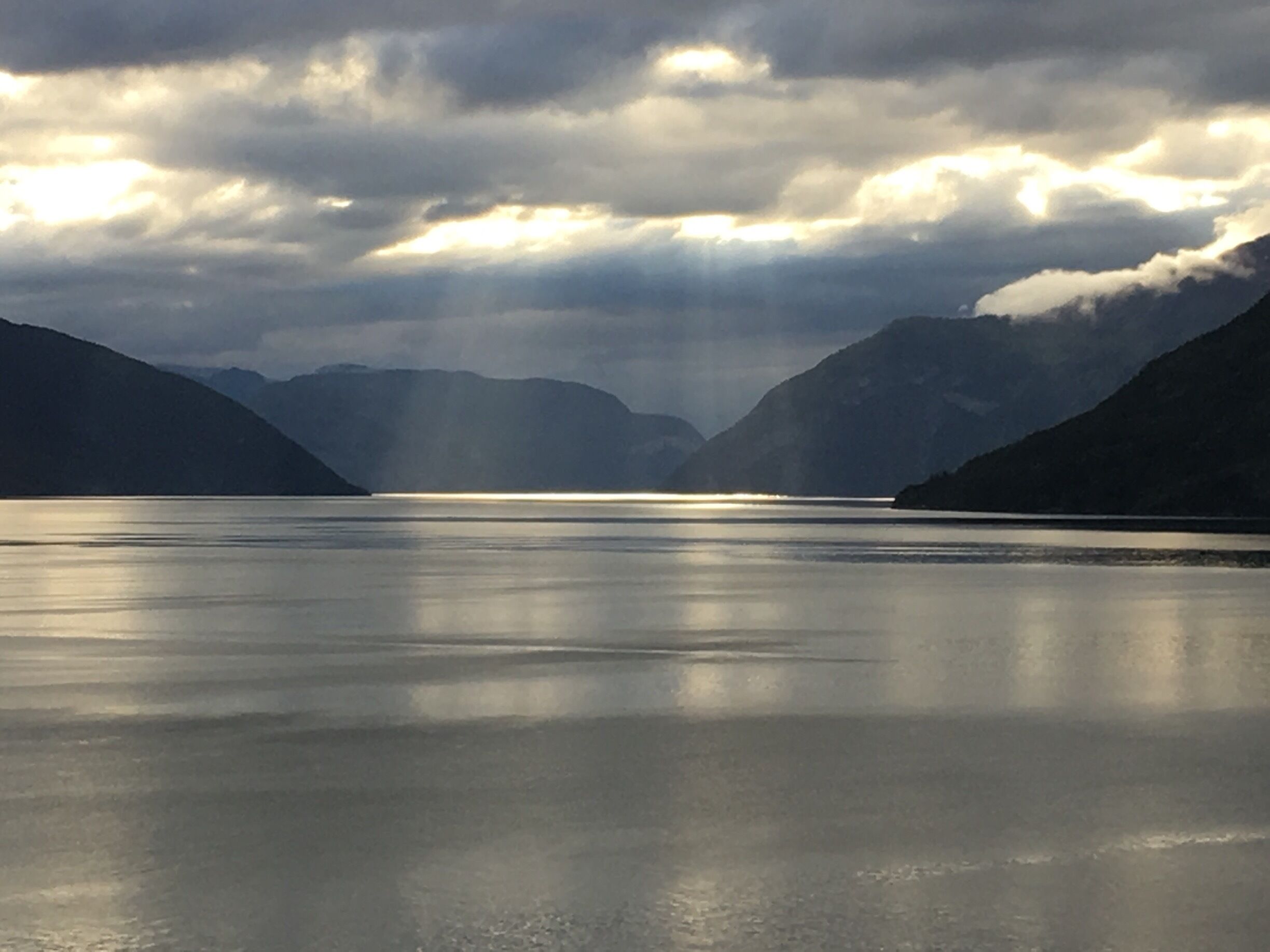 Early morning on the fjord 