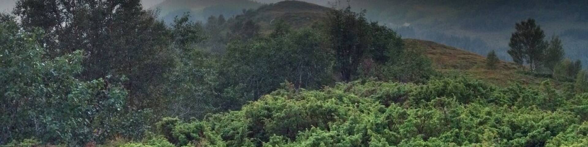 Grøneholten above a foggy Dalsfjorden.