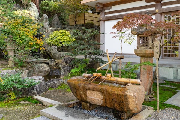 A traditional Japanese garden with a stone basin, bamboo, and various plants.