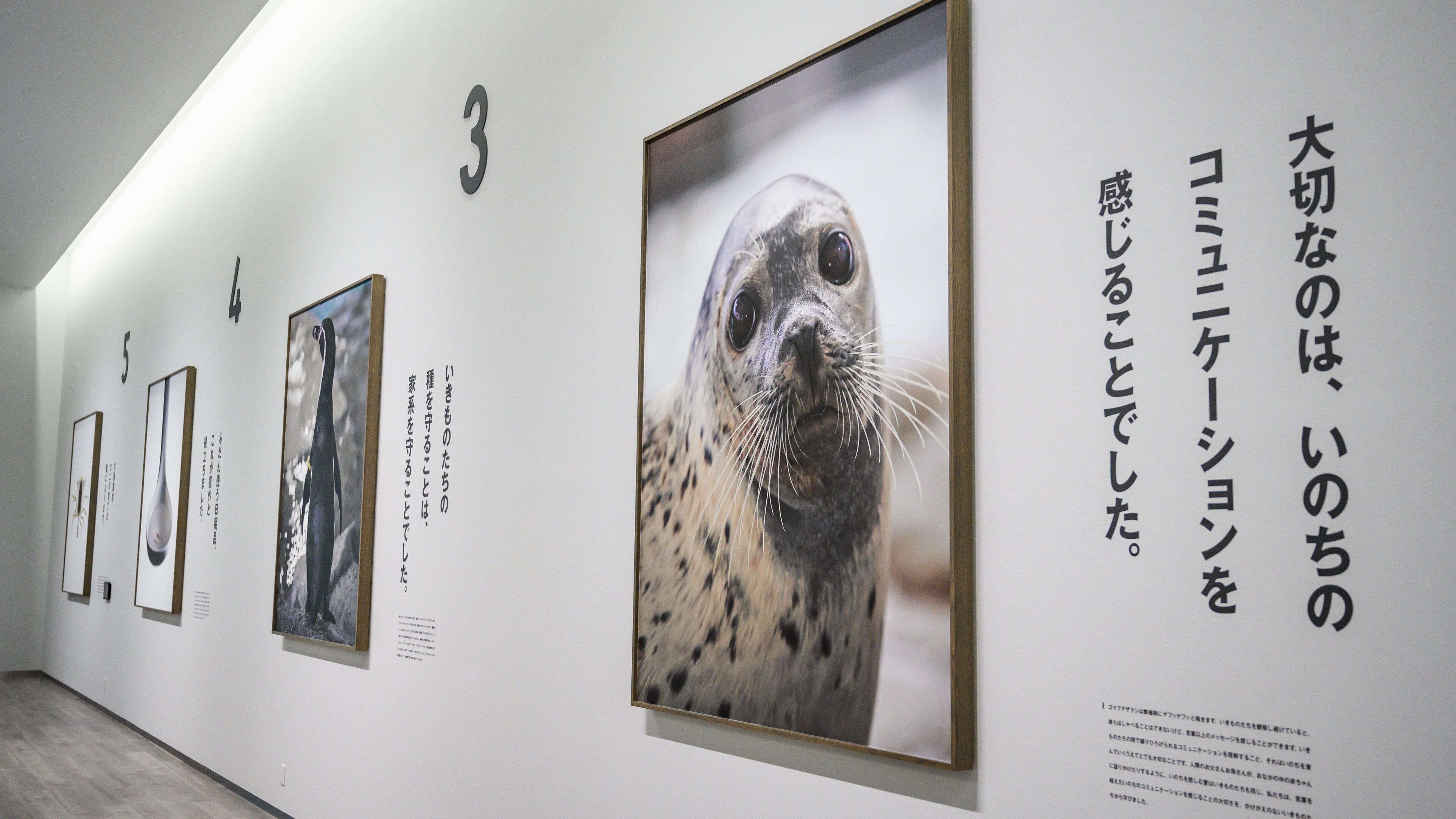 Kinosaki Marine World which includes general coastal views and interior views