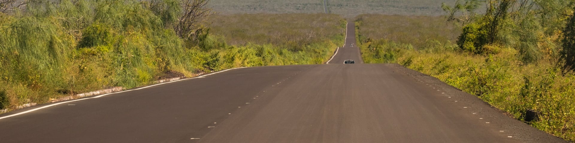 road to the mountains - Baltra - Galapagos - Santa Cruz - Ecuador