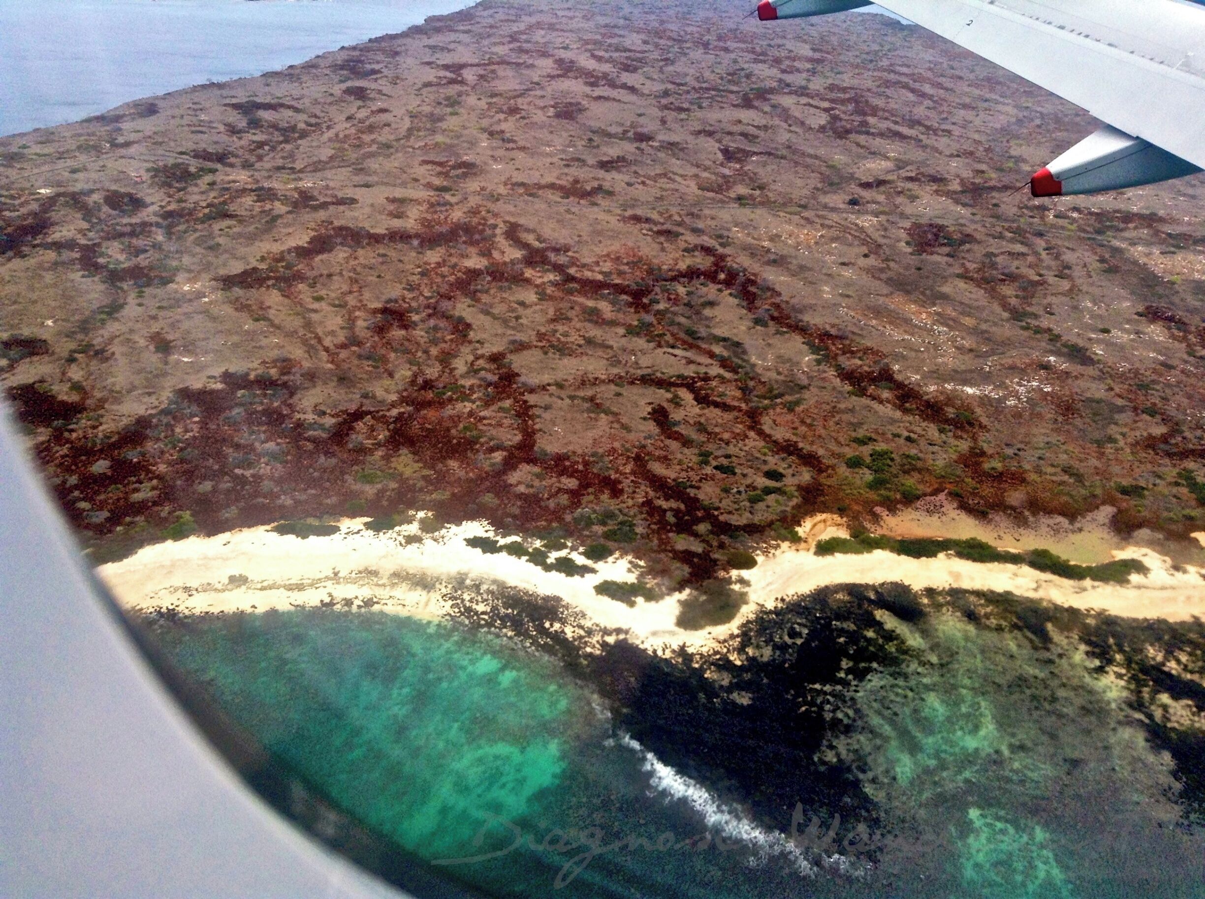 Descent into Baltra Island, Ecuador - our first site of the Galapagos Islands on our first, and hopefully not our last trip to the unique archipelago.
#waterlust #galapagos