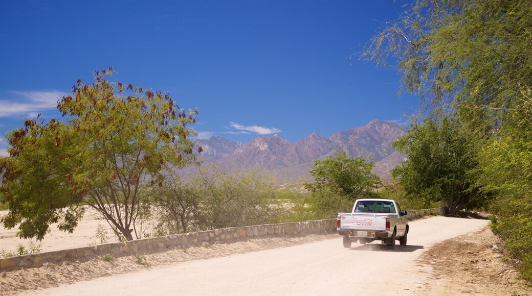 Santiago which includes tranquil scenes