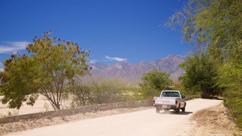 A white pickup truck driving on a dirt road with mountains in the background.