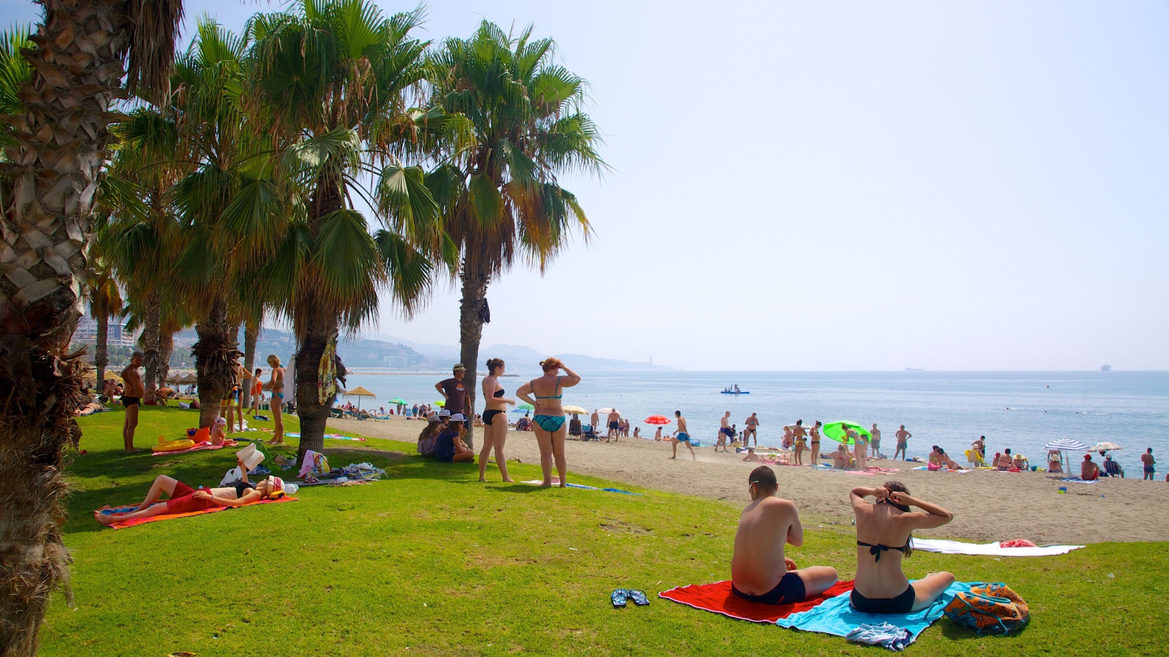 マラグエタ ビーチ どの含み 砂浜, 常夏の風景 と ピクニック