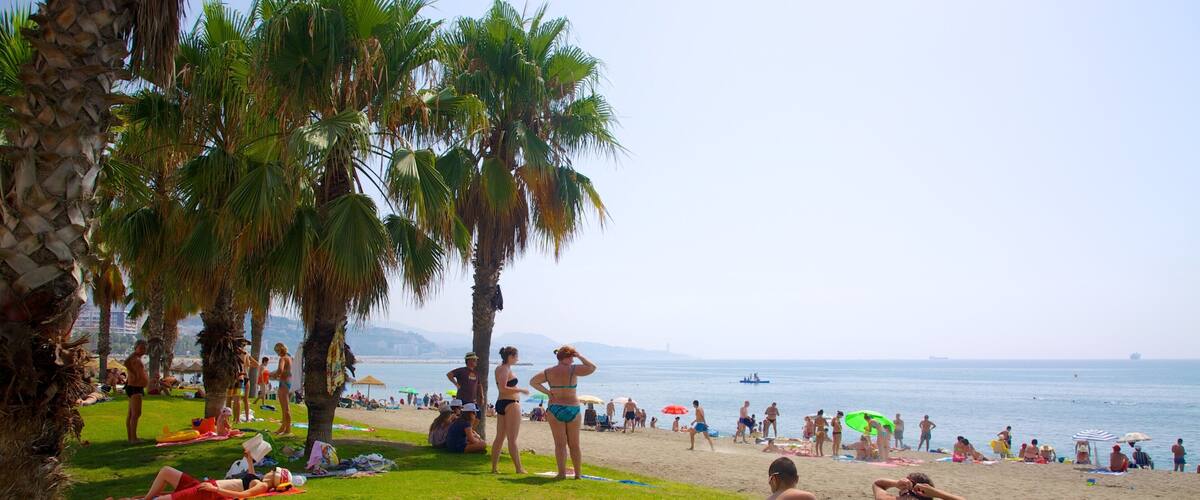 Playa de La Malagueta toont een strand, tropische uitzichten en picknicken