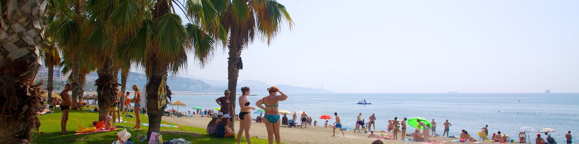 Playa de La Malagueta ofreciendo una playa de arena, escenas tropicales y picnic