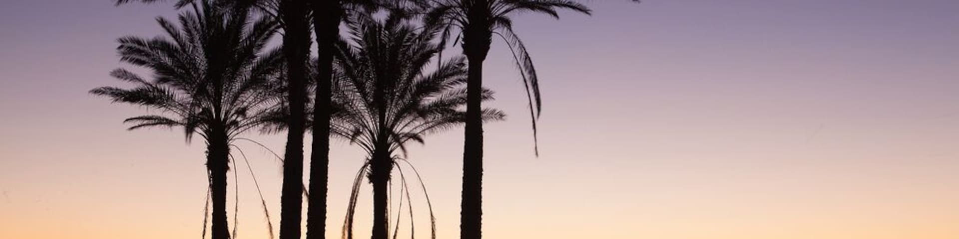 Lonely palm trees on the empty Malaga beach in Spain