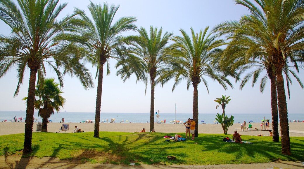 Malagueta Beach which includes tropical scenes and a beach