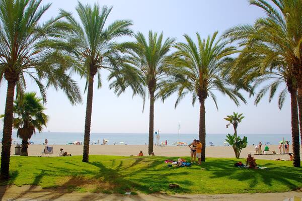 Malagueta Beach which includes tropical scenes and a beach