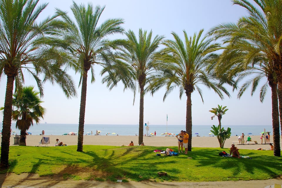 A beach with palm trees and people sunbathing.
