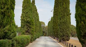 Millenaire which includes a garden