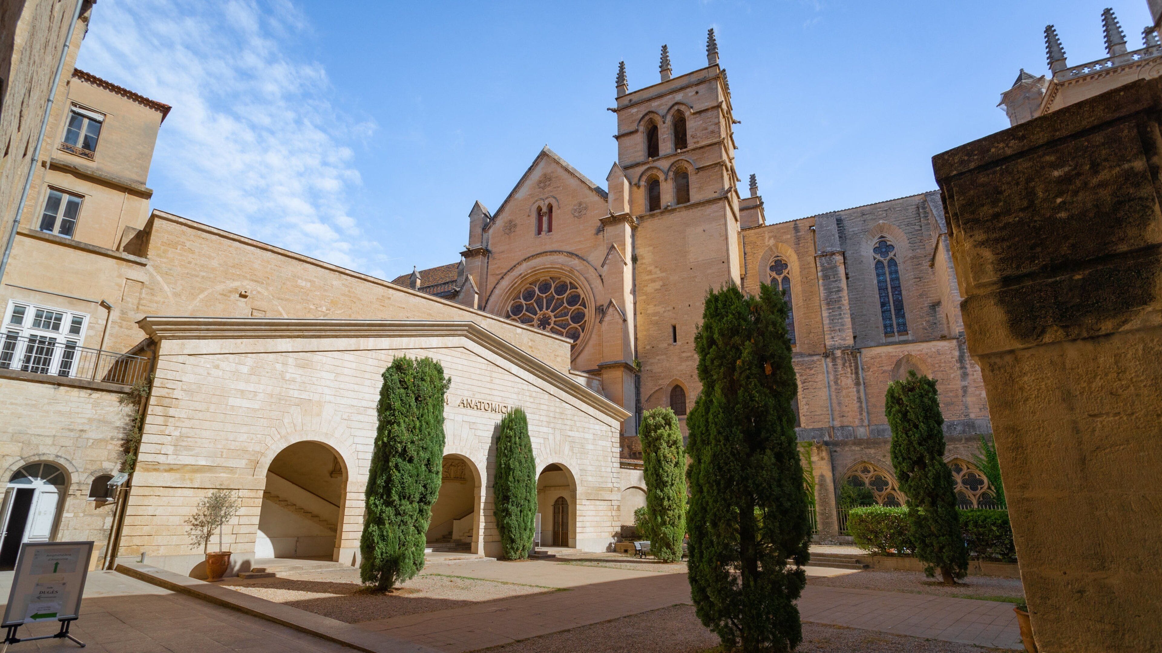 Faculty of Medicine of Montpellier