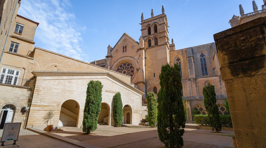 Faculty of Medicine of Montpellier
