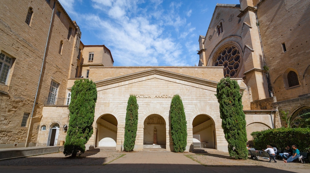 Faculty of Medicine of Montpellier