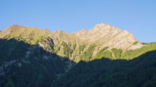 Leitnerwand (2361m) und Überseilspitze (2458m) vom Weiler Afens im Pfitscher Tal aus gesehen