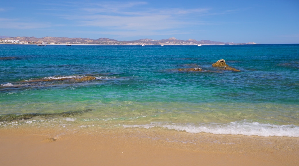 Palmilla Beach showing general coastal views and a sandy beach