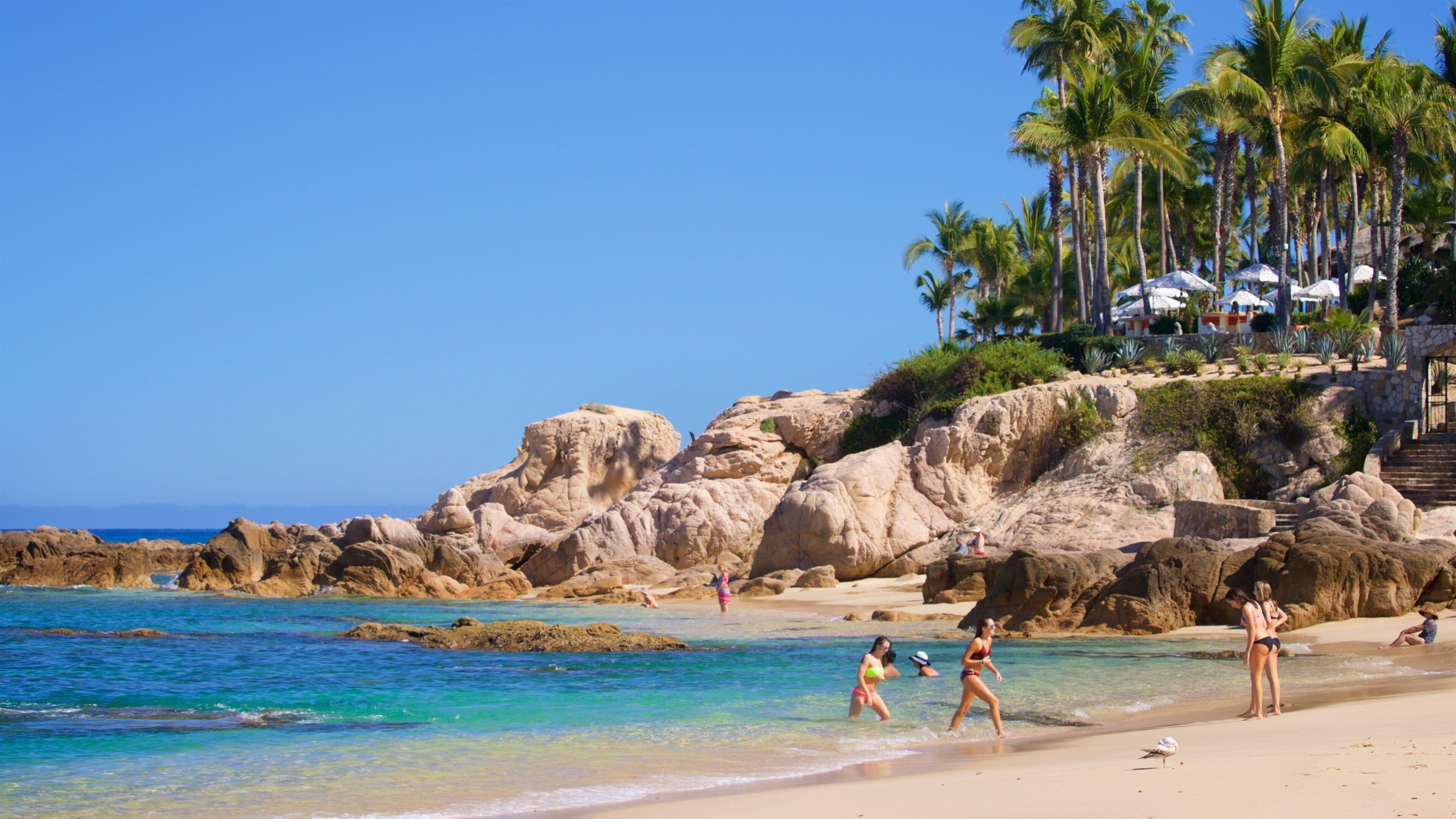 Una playa con agua turquesa cristalina, formaciones rocosas y palmeras.