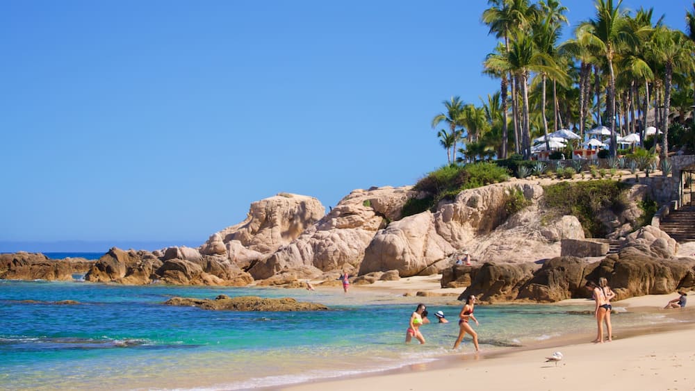 A beach with clear turquoise water, rocky formations, and palm trees.