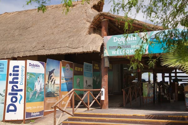Dolphin Discovery Puerto Los Cabos featuring a beach bar