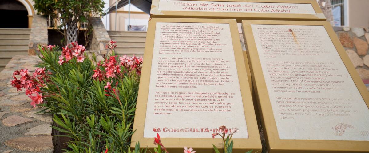 Mission of San Jose showing signage and wildflowers