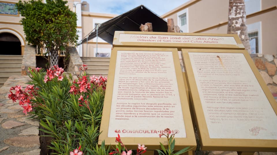 Mission of San Jose showing signage and wildflowers