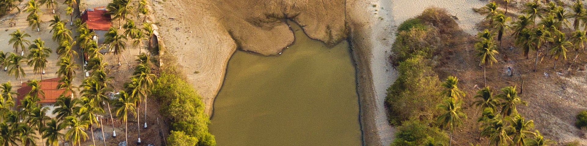 An aerial view of a coastal area with a beach, a small body of water, and palm trees.