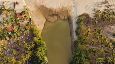 An aerial view of a coastal area with a beach, a small body of water, and palm trees.