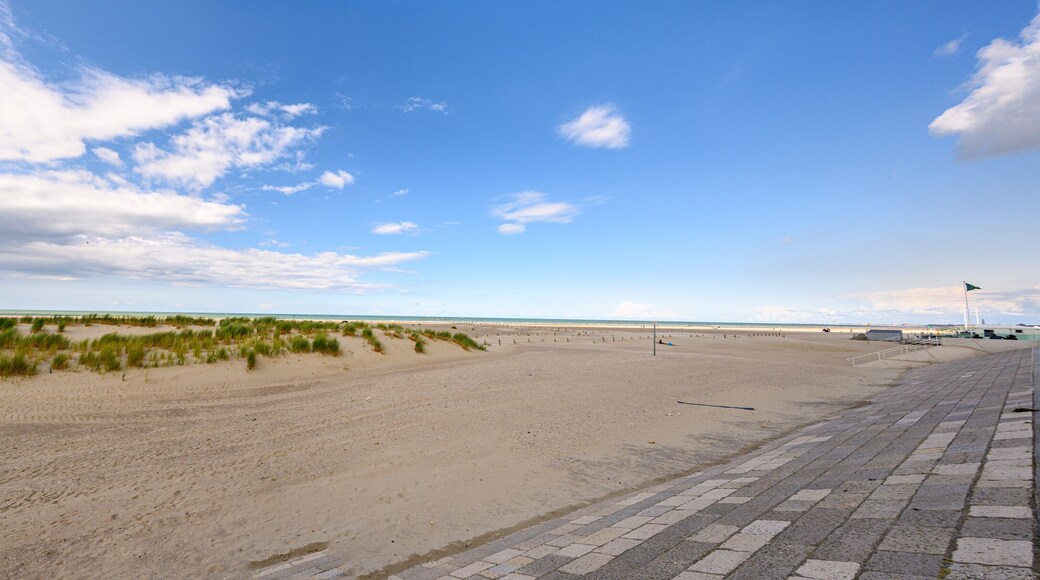 Panorama of sand dunes and the beach at Dunkirk, France