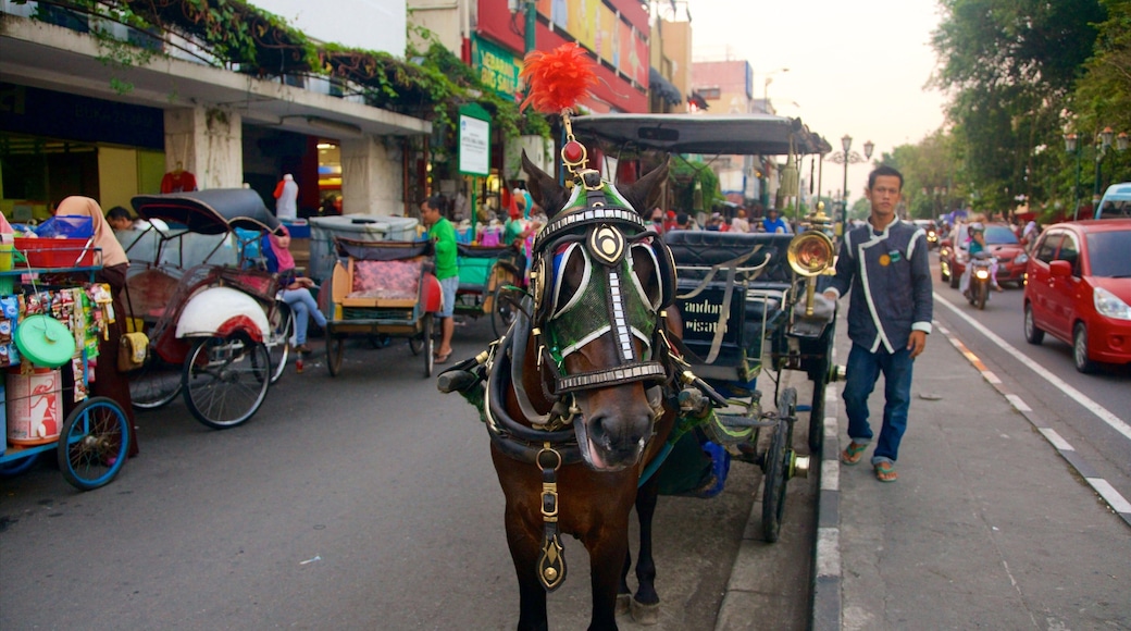Malioboro Street presenterar landdjur sÄvÀl som en man