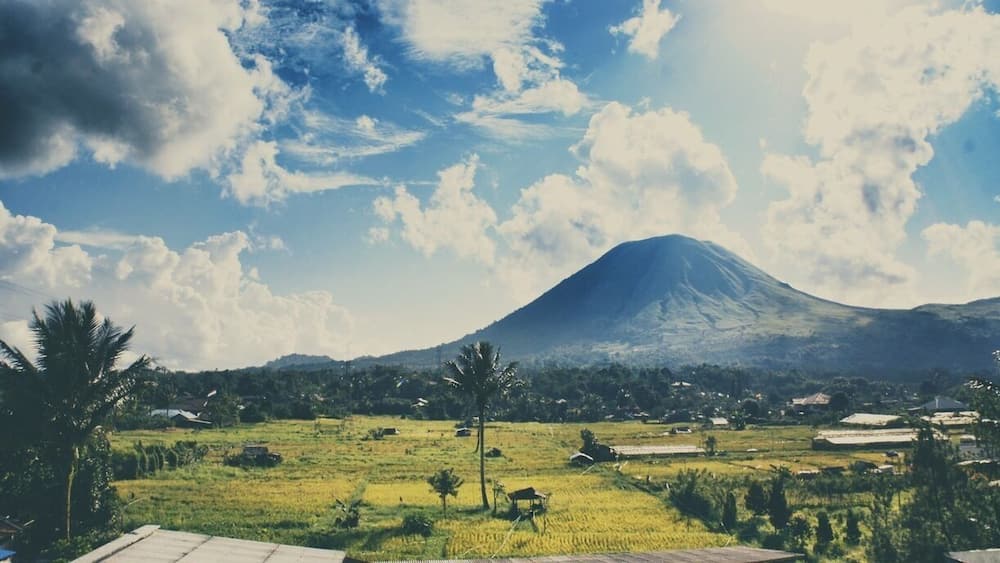 • Mount Lokon •
Mount Lokon is an active volcano and located in Minahasa Highlands. The nearest city from this mountain is Tomohon, where is 1 hour drive from Manado (The capital of North Sulawesi).
The last eruption that this mountain had was last year.
Where to stay?
You may stay in Manado or some local cottages in Tomohon.
What to do?
Tomohon is a unique city that offers you a magnificent combination of religious and natural sites. There are many beautiful religious sites (Christian and Catholic) and there are many amazing natural sites like Pine forest, Linow Lake, Tondano Lake, Mahawu volcanic hole, hot springs, and other adventurous sites.
Food is awesome!
- Parakletos Fried Banana
- Von-Von Ragey (pork satay)
- Dessert at House of Kitty or Green Garden, and so much more!