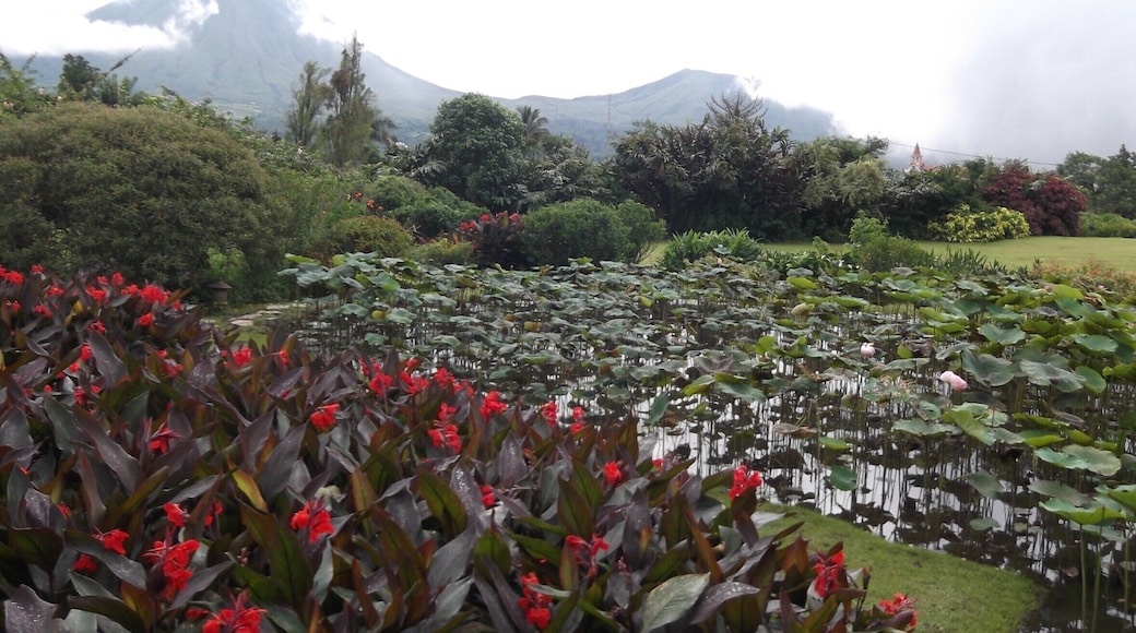 Peaceful place for a stay or maybe a short lunch. Love the natural scenery, the flowers and mountain range view.
